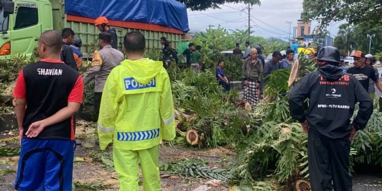 Respon Cepat Polisi Tangani Pohon Tumbang, Warga dan Pengendara Apresiasi Kinerja Polres Barru