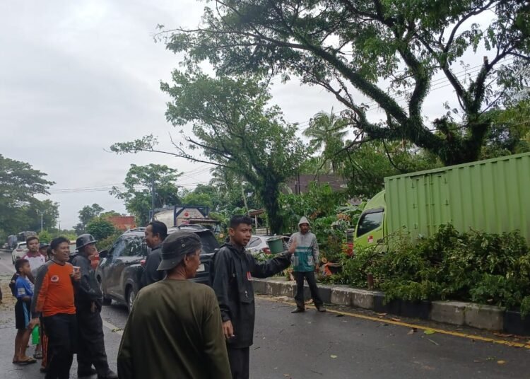 Pemkab Barru Bergerak Cepat Tangani Dampak Angin Kencang, 34 Rumah Warga Terdampak