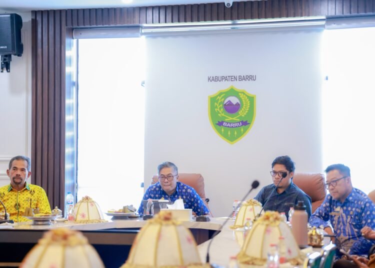 Wakil Bupati Barru, Mewakili Bupati Barru Mengikuti Entry Meeting Pemeriksaan LKPD Tahun 2025
