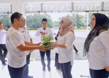 Bupati Andi Ina Kartika Sari Resmikan Gerakan Tanam Cabai Bersama ASN di Barru