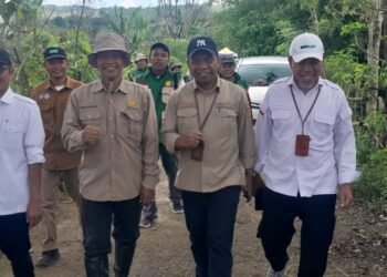 Dinas Pangan Barru Gelar Tanam Padi Bersama, Dihadiri Tim Kementan RI