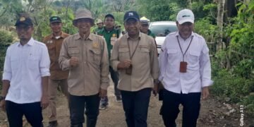Dinas Pangan Barru Gelar Tanam Padi Bersama, Dihadiri Tim Kementan RI