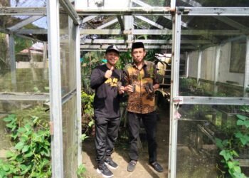 Kadis Tenaga Kerja dan Kadis Pangan Barru Tanam Cabai di Taman Kantor Bupati