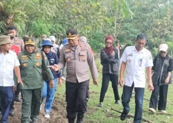 Polres Barru dan KPH Ajatappareng Siapkan 41 Hektar Lahan Jagung untuk Swasembada Pangan