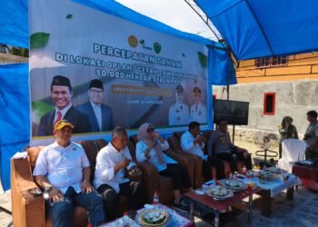 Wakil Komisi II DPRD Barru, H. Herman Jaya, S.Pi., Dorong Pengelolaan Mandiri Benih Padi di Kabupaten Barru