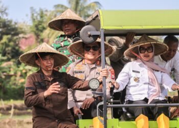 Kepolisian Resor Barru Kawal Percepatan Tanam 50.000 Hektar di Kabupaten Barru, Andi Ina Kartika Sari Resmi Buka Program