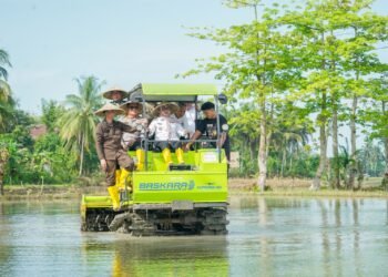Bupati Barru Tegaskan Pertanian sebagai Jantung Ekonomi Daerah pada Percepatan Tanam Opla