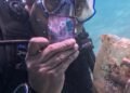 Kapolres Barru Bersihkan Sampah Plastik di Laut Pulau Dutungan, Selamatkan Terumbu Karang
