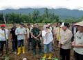 Kadis Pangan PTHBUN Barru Tanam Bersama Benih Jagung Hibrida JJUH 01 di Desa Galung