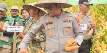 Kapolres Barru AKBP Ananda Fauzi Harahap: Panen Raya Jagung Wujud Dukungan Ketahanan Pangan Nasional