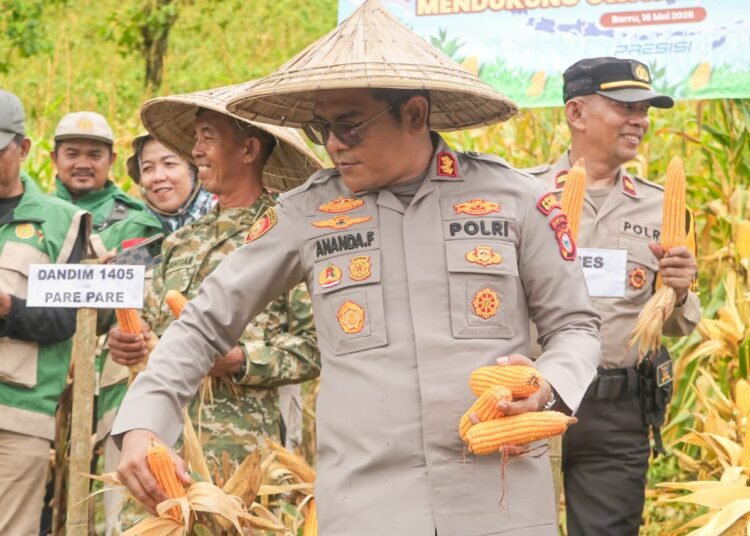 Kapolres Barru AKBP Ananda Fauzi Harahap: Panen Raya Jagung Wujud Dukungan Ketahanan Pangan Nasional