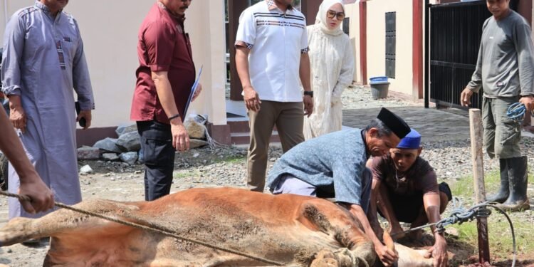 Kapolres Barru Pimpin Penyembelihan Hewan Kurban, Pererat Kepedulian Sosial dengan Masyarakat