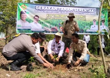 Kadis Pangan PTHBUN Barru Pimpin Gerakan Tanam Serentak, Perkuat Hilirisasi Komoditas Kopi