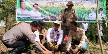 Kadis Pangan PTHBUN Barru Pimpin Gerakan Tanam Serentak, Perkuat Hilirisasi Komoditas Kopi