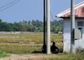 PT Conch Barru Dinilai Kurang Terbuka, Publik Pertanyakan Aktivitas di Dalam Lokasi Perusahaan