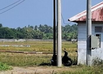 PT Conch Barru Dinilai Kurang Terbuka, Publik Pertanyakan Aktivitas di Dalam Lokasi Perusahaan