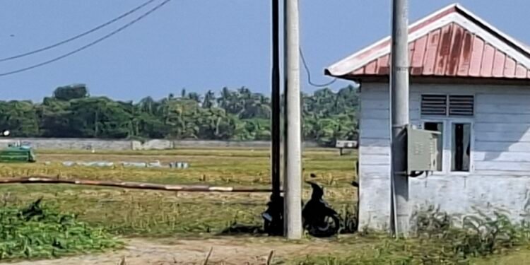 PT Conch Barru Dinilai Kurang Terbuka, Publik Pertanyakan Aktivitas di Dalam Lokasi Perusahaan