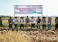 Gerakan Panen Bersama di Barru, Kadis PTPHBUN Dampingi Wakil Bupati Dukung Peningkatan Luas Tambah Tanam MT II 2026