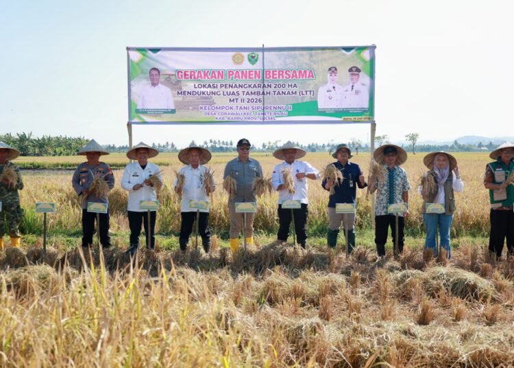 Gerakan Panen Bersama di Barru, Kadis PTPHBUN Dampingi Wakil Bupati Dukung Peningkatan Luas Tambah Tanam MT II 2026