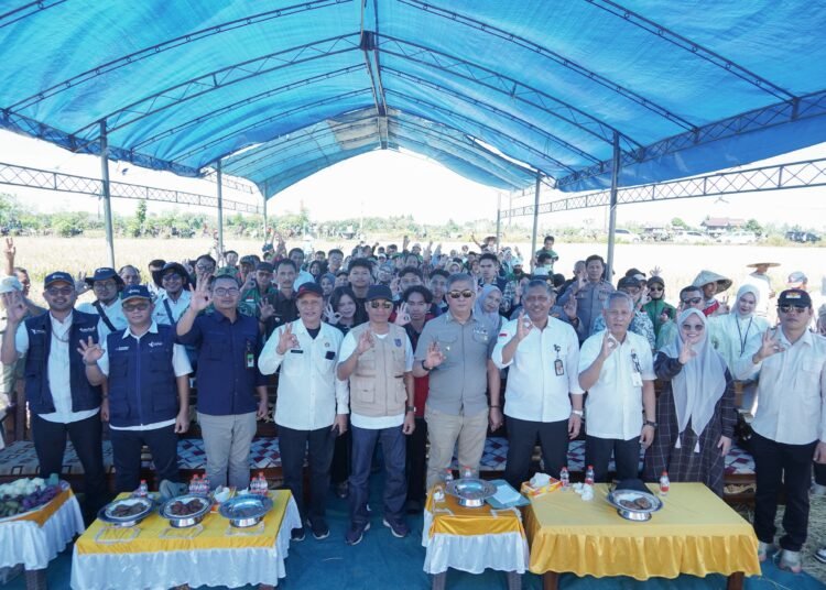 Wabup Barru Dorong Percepatan Tanam Lewat Gerakan Panen dan Tanam Bersama
