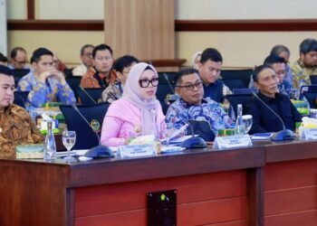 Di Hadapan Komisi VI DPR RI, Bupati Barru Paparkan Strategi Perkuat Fiskal Lewat Investasi