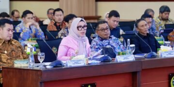 Di Hadapan Komisi VI DPR RI, Bupati Barru Paparkan Strategi Perkuat Fiskal Lewat Investasi