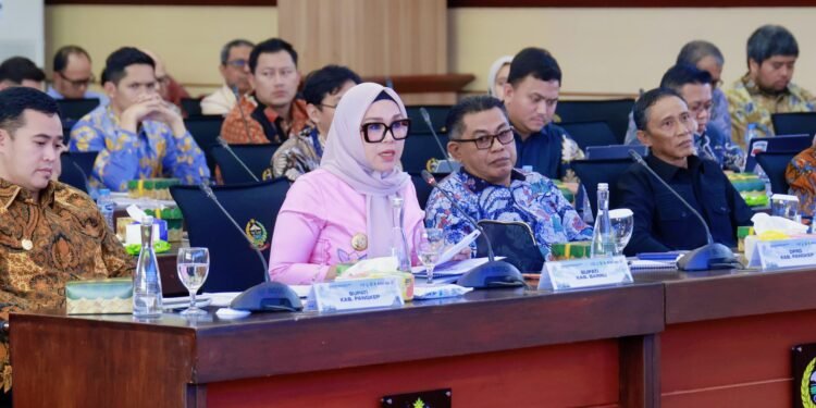 Di Hadapan Komisi VI DPR RI, Bupati Barru Paparkan Strategi Perkuat Fiskal Lewat Investasi