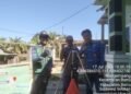 Uji Coba Varietas Padi Inpari 49 di Barru Tunjukkan Hasil Menjanjikan