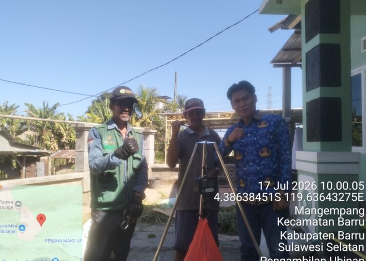 Uji Coba Varietas Padi Inpari 49 di Barru Tunjukkan Hasil Menjanjikan