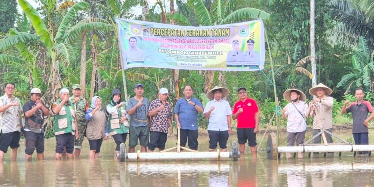 Gerakan Tanam Bersama Percepat Target LTT Juli, Kementan RI Dukung Swasembada Pangan di Kabupaten Barru