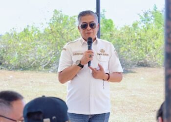 Wakil Bupati Barru Terima Kunjungan Investor Global, Dorong Kerja Sama Strategis