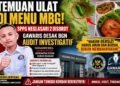 GAWARIS Desak BGN Audit Investigatif SPPG Neglasari 2 Usai Dugaan Temuan Ulat pada Menu MBG di SDN Tegalgede 3