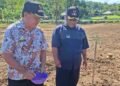 Kades Tompo Bersama Kades Siawung Ikuti Penanaman Jagung JJUH Program Penangkaran Parent Seed