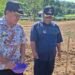 Kades Tompo Bersama Kades Siawung Ikuti Penanaman Jagung JJUH Program Penangkaran Parent Seed
