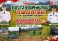 Syukuran Pasca Panen Padi Desa Gattareng Meriahkan Semangat HUT ke-81 Kemerdekaan Republik Indonesia