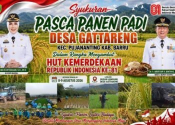 Syukuran Pasca Panen Padi Desa Gattareng Meriahkan Semangat HUT ke-81 Kemerdekaan Republik Indonesia