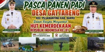 Syukuran Pasca Panen Padi Desa Gattareng Meriahkan Semangat HUT ke-81 Kemerdekaan Republik Indonesia