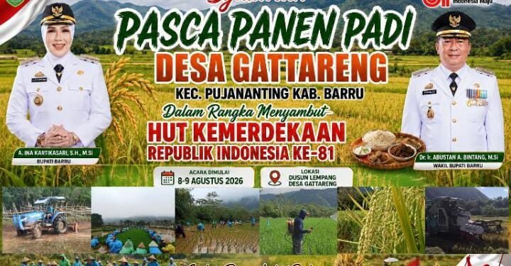 Syukuran Pasca Panen Padi Desa Gattareng Meriahkan Semangat HUT ke-81 Kemerdekaan Republik Indonesia
