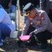 Polres Barru Perkuat Komitmen Ketahanan Pangan Lewat Program Penanaman Jagung JJUH