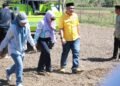 Herman Jaya Optimistis Program JJUH Perkuat Kemandirian Benih dan Produktivitas Petani Barru