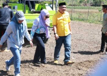 Herman Jaya Optimistis Program JJUH Perkuat Kemandirian Benih dan Produktivitas Petani Barru