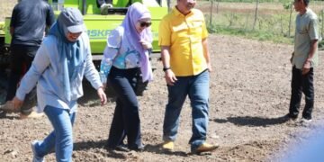 Herman Jaya Optimistis Program JJUH Perkuat Kemandirian Benih dan Produktivitas Petani Barru