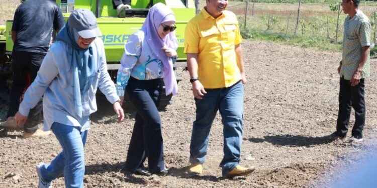 Herman Jaya Optimistis Program JJUH Perkuat Kemandirian Benih dan Produktivitas Petani Barru