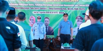 Kolaborasi Pemkab Barru, Unhas, dan Taiwan ICDF Kembangkan Benih Jagung Unggul