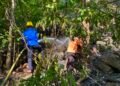 Kebakaran Lahan Jati di Libureng Berhasil Dipadamkan, Polisi Imbau Warga Waspada