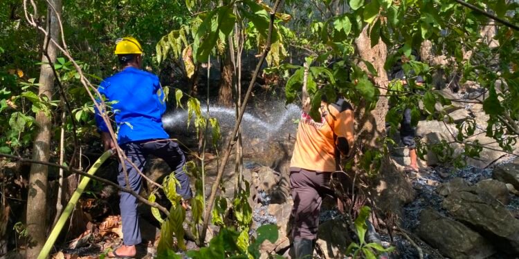 Kebakaran Lahan Jati di Libureng Berhasil Dipadamkan, Polisi Imbau Warga Waspada