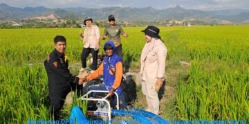 Monitoring Tim Kementan RI Antisipasi Dampak El Niño di Barru, Petani Palanro Terima Bantuan Mesin Pompa Air