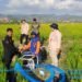 Monitoring Tim Kementan RI Antisipasi Dampak El Niño di Barru, Petani Palanro Terima Bantuan Mesin Pompa Air