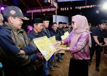 Bupati Barru: Panen Padi Jadi Momentum Kebahagiaan dan Kebanggaan Petani