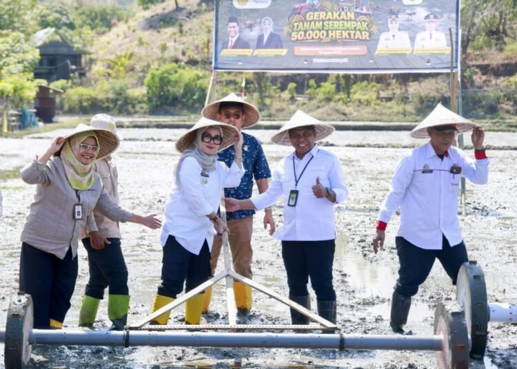 Bupati Barru: Kepercayaan Kementan Harus Dijawab dengan Kerja Nyata